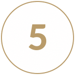 5 5