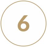 6 6
