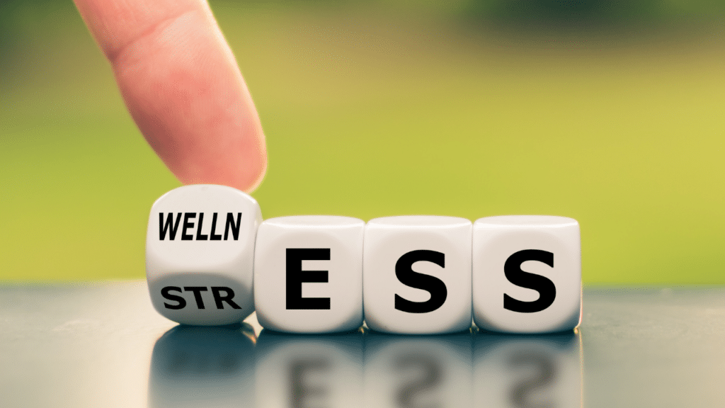 the benefits of wellness programs in the workplace